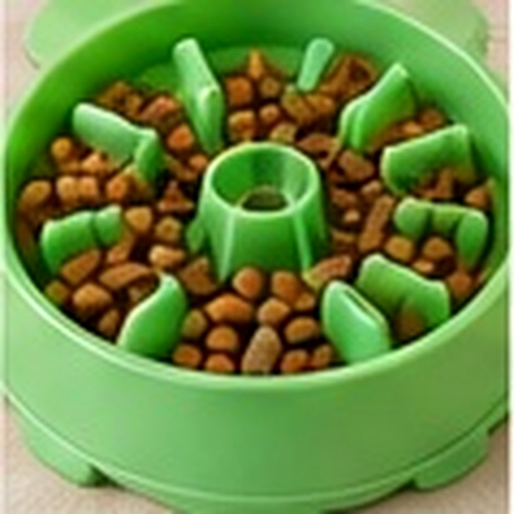 Bodylurevia™ SlowFeast Interactive Slow Feeder