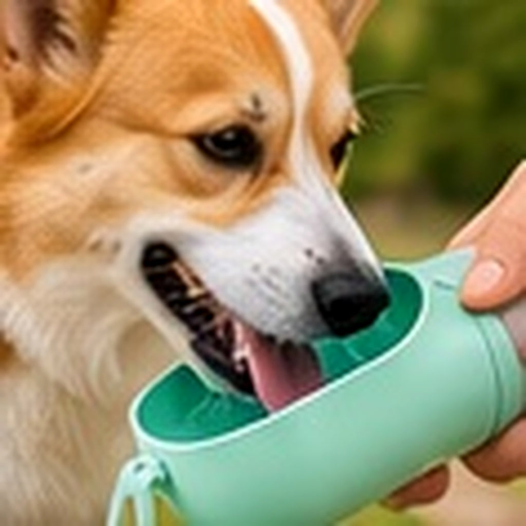 Bodylurevia™ AquaGo Travel Water Bottle