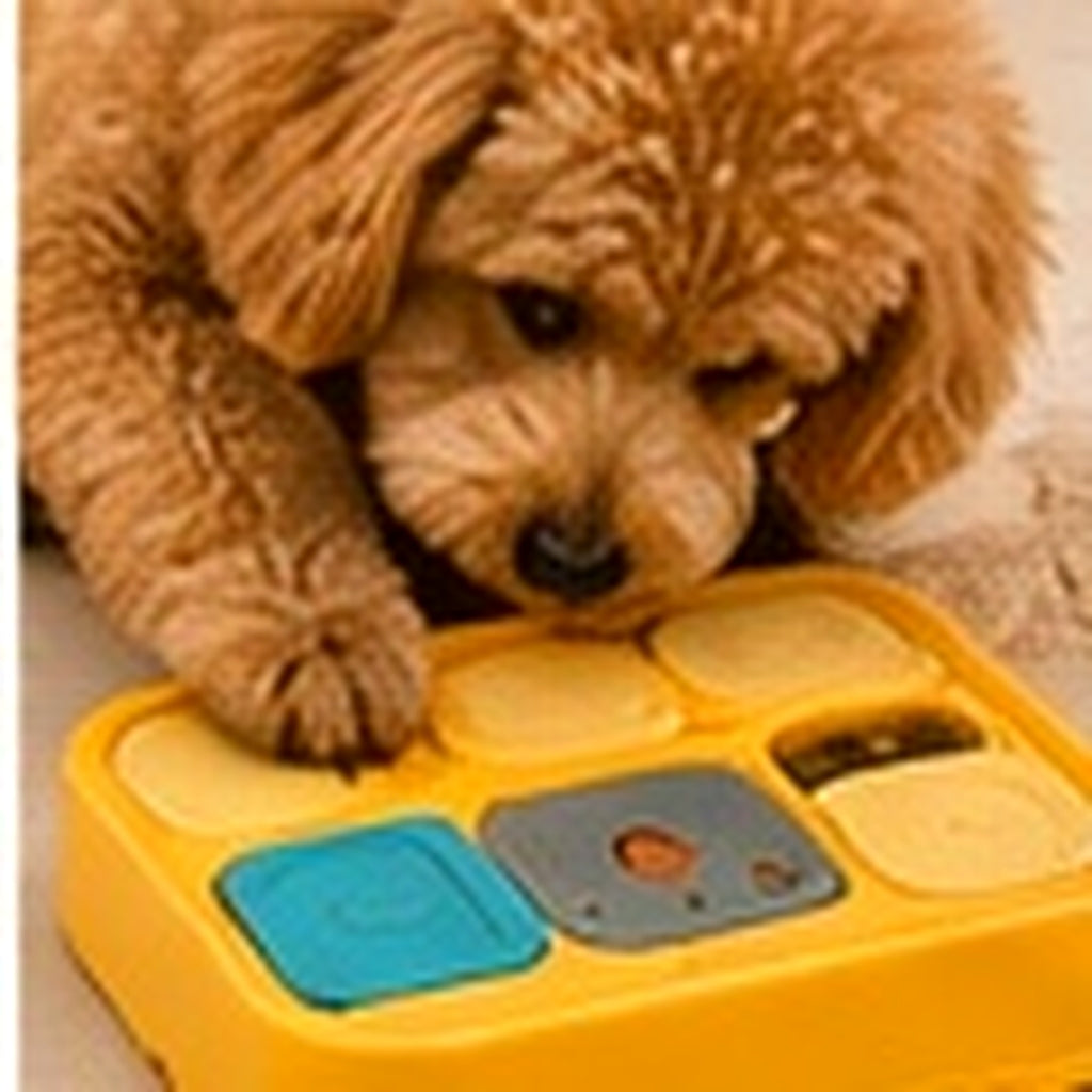 Bodylurevia™ TreatQuest Interactive Puzzle Feeder