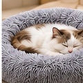 Bodylurevia™ CozyNest Calming-Style Pet Bed