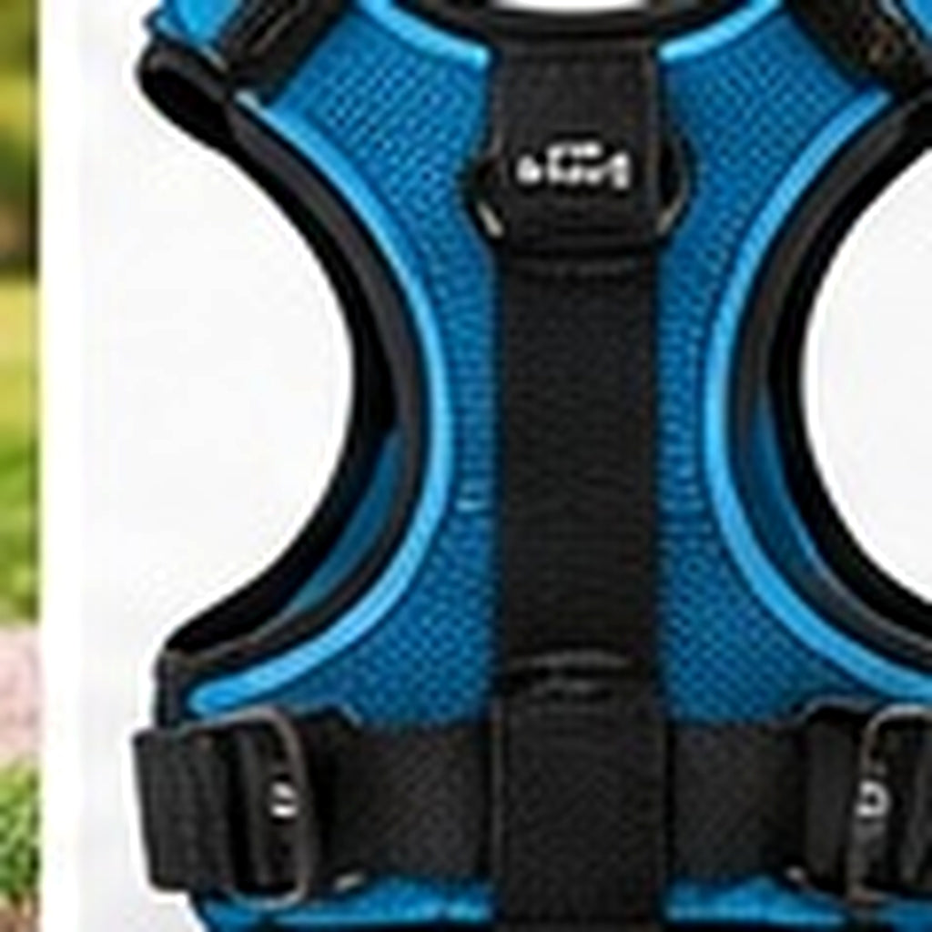 Bodylurevia™ WalkReady Adjustable Harness