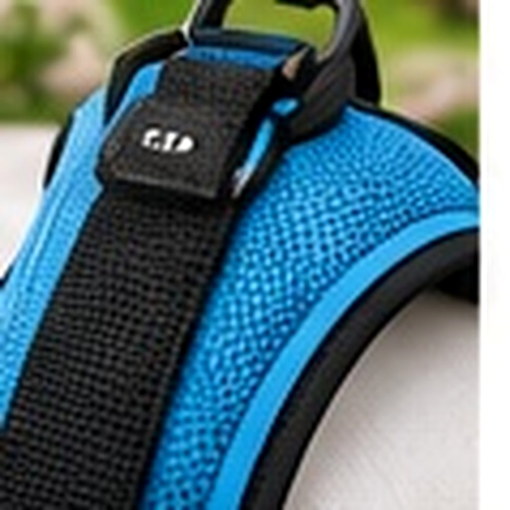 Bodylurevia™ WalkReady Adjustable Harness